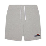 Ellesse Sweatshorts SILVAN FLEECE SHORT Grau