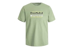 Jack & Jones T-Shirt JCORAY Crew Neck FST Grün/Dunkelgrün/Hellgrün