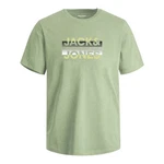Jack & Jones T-Shirt JCORAY Crew Neck FST Grün/Dunkelgrün/Hellgrün