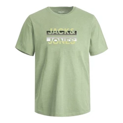 Jack & Jones T-Shirt JCORAY Crew Neck FST Grün/Dunkelgrün/Hellgrün