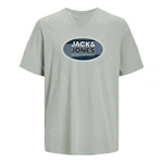 Jack & Jones T-Shirt JCORAY Crew Neck FST Grün/Hellgrün/Dunkelgrün/Hellblau/Khaki/Blau