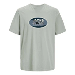 Jack & Jones T-Shirt JCORAY Crew Neck FST Grün/Hellgrün/Dunkelgrün/Hellblau/Khaki/Blau