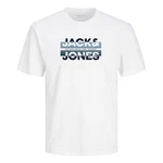 Jack & Jones T-Shirt JCORAY Crew Neck FST Hellblau/Blau/Silber/Weiß/Creme