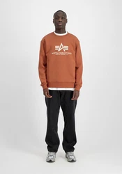 ALPHA INDUSTRIES Sweatshirt Orange/Braun/Rot