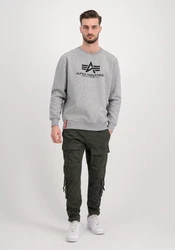 ALPHA INDUSTRIES Sweatshirt Hellgrau/Grau
