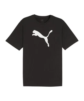 PUMA T-Shirt teamRISE Logo Trainingsshirt
