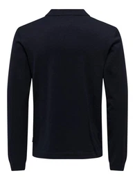 Polokragenpullover Wyler (1-tlg)