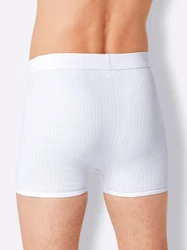 Witt Schlüpfer Hose kurz  Weiß/Creme/Hellblau/Grau