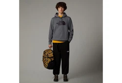 The North Face Drew Peak Pullover Hoodie grau/gris/argent