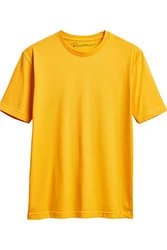 Reichstadt Oversize-Shirt Casual T-Shirt 24RS058 Gelb