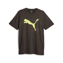 Kurzarmshirt TRAIN FAV HEATHER CAT TEE GREEN GLIMMER