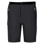 Regatta Funktionsshorts Xert StrShort III Dunkelgrau/Dunkelblau/Grau/Hellgrau/Schwarz