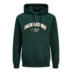 JACK & JONES Sweatshirt JORBRONX Dunkelgrün/Grün