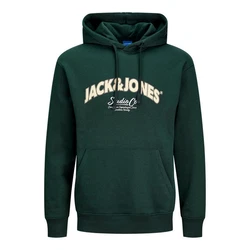 JACK & JONES Sweatshirt JORBRONX Dunkelgrün/Grün