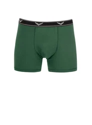 Trigema Boxer Bequeme Pants mit Webgummibund grn/efeu