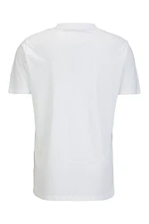 Replay T-Shirt BASIC JERSEY Grau/Weiß/Creme