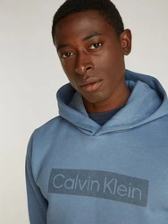 Calvin Klein Kapuzensweatshirt BOX STRIPED LOGO HOODIE 