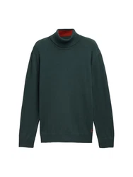 TOM TAILOR Denim Strickpullover Basic Rollkragenpullover 