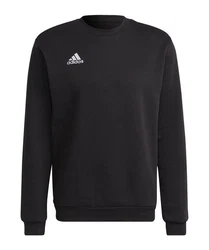 adidas Performance Sweatshirt Entrada 22 Schwarz