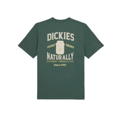 Dickies T-Shirt Elliston dunkel