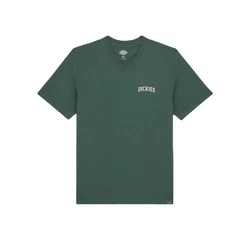 Dickies T-Shirt Elliston dunkel