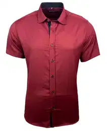 Langarmhemd Kurzarmhemd Herren Hemd Bgelleichtes Slim Fit Kentkragen Uni