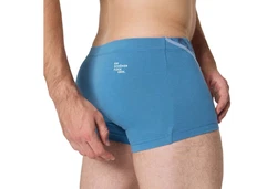 EIN SCHNER FLECK ERDE Boxer Herren Hellblau