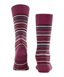 FALKE Socken Microblock Lila/Bordeaux/Dunkelrot/Rosa
