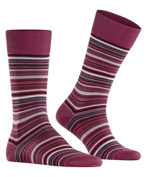 FALKE Socken Microblock Lila/Bordeaux/Dunkelrot/Rosa