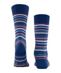 FALKE Socken Microblock Dunkelblau/Blau/Rot/Hellblau