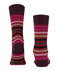 FALKE Socken Tinted Stripe Lila/Bordeaux/Mischfarben/Dunkelrot