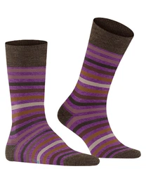 FALKE Socken Tinted Stripe Lila/Mischfarben/Braun