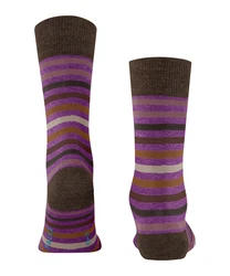 FALKE Socken Tinted Stripe Lila/Mischfarben/Braun