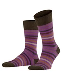 FALKE Socken Tinted Stripe Lila/Mischfarben/Braun