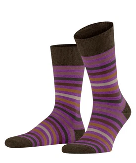 FALKE Socken Tinted Stripe