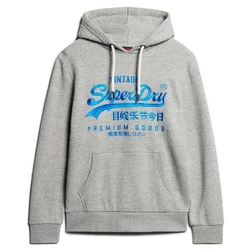 Superdry Sweatshirt Hoodie Neon VI Graphic Hoodie Blau/Hellgrau/Grau/Silber