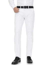 5-Pocket-Hose Lyon Tapered