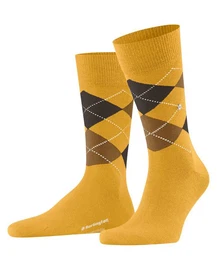 Businesssocken