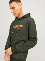 Jack & Jones Kapuzensweatshirt JJALVIS SWEAT HOOD Dunkelgrün/Grün