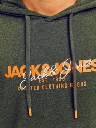 Jack & Jones Kapuzensweatshirt JJALVIS SWEAT HOOD Dunkelgrün/Grün