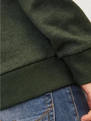Jack & Jones Kapuzensweatshirt JJALVIS SWEAT HOOD Dunkelgrün/Grün