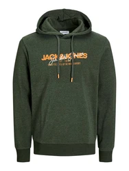Jack & Jones Kapuzensweatshirt JJALVIS SWEAT HOOD Dunkelgrün/Grün