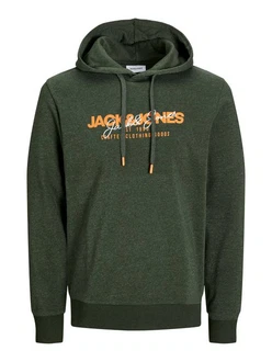 Jack & Jones Kapuzensweatshirt JJALVIS SWEAT HOOD Dunkelgrün/Grün