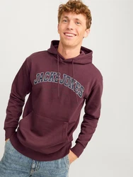 Jack & Jones Sweatshirt JJECALEB VARSITY HOOD NOOS Dunkelrot/Rosa/Lila