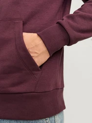 Jack & Jones Sweatshirt JJECALEB VARSITY HOOD NOOS Dunkelrot/Rosa/Lila