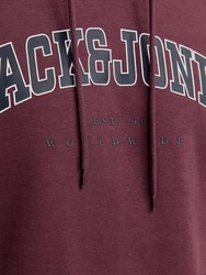 Jack & Jones Sweatshirt JJECALEB VARSITY HOOD NOOS Dunkelrot/Rosa/Lila