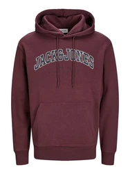 Jack & Jones Sweatshirt JJECALEB VARSITY HOOD NOOS Dunkelrot/Rosa/Lila