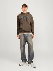 Jack & Jones Sweatshirt JJECALEB VARSITY HOOD NOOS Dunkelgrün/Khaki/Grau/Braun