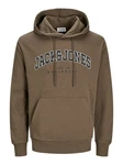 Jack & Jones Sweatshirt JJECALEB VARSITY HOOD NOOS Dunkelgrün/Khaki/Grau/Braun