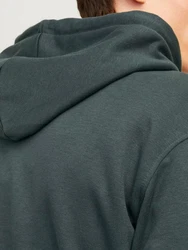 Jack & Jones Kapuzensweatshirt JORBRONX Arch Big Sweat Hood Dunkelgrün/Grün